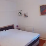 Zaara Konukevi 3*