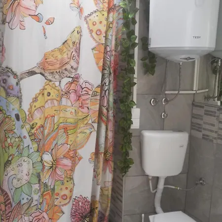 ゲストハウス Zaara 3*