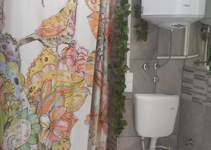 Gostinjska kuća Zaara 3*